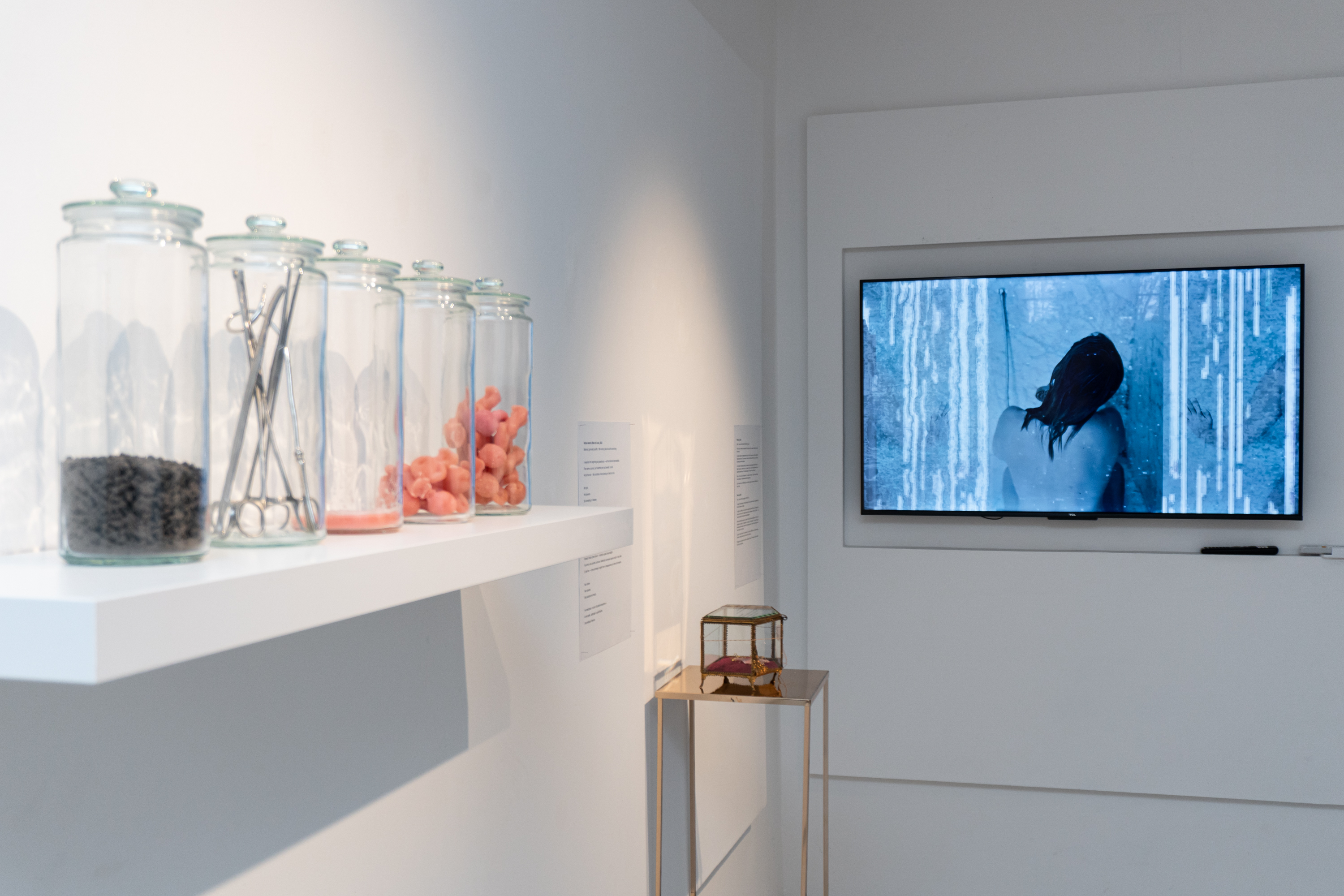 Ex Contactu. Relics of Pain, Love, and Pleasure